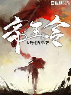 海贼王伟大冒险