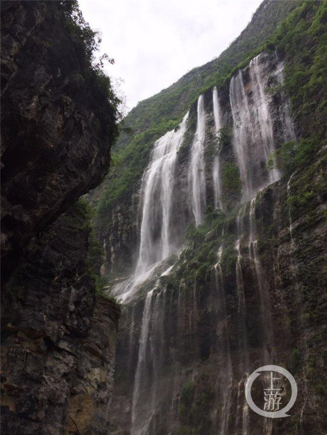 云上新蔡投票游戏画面