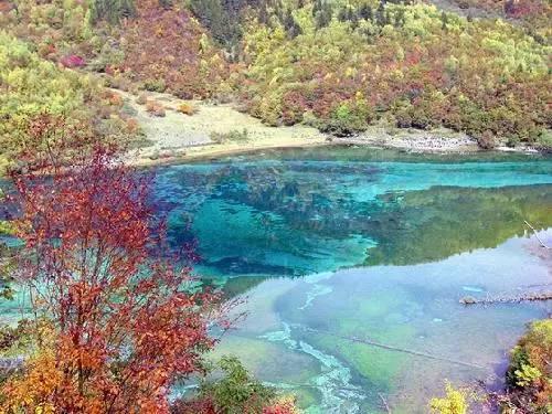 四川“选星计划”省级训练营正式开营